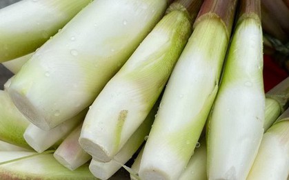 Đặc sản "sâm trong nước": Giàu vitamin, nghèo calo, giúp giảm cân, làm đủ món ngon ngày lạnh