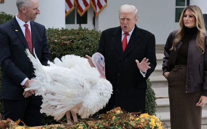 Ông Trump ân xá cho gà tây