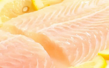 Top 7 loại cá ít xương nhất nhưng giàu dinh dưỡng, "bổ như sâm bơi dưới nước"