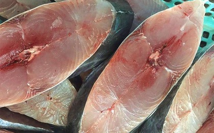 5 loại cá thịt dày, ít xương, bổ như tổ yến: Ra chợ thấy thì nhắm mắt MUA NGAY