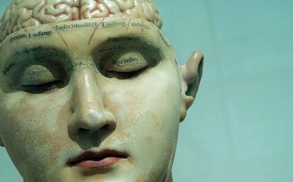 Bốn lần não bộ tự "khởi động lại" trong đời: Bạn đang ở giai đoạn nào?