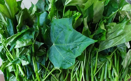 Loại rau "ngọt như mì chính", bổ ngang nhân sâm tổ yến, tốt cho người ốm