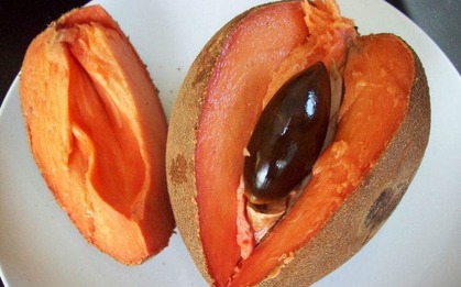 Loại quả xưa không ai biết, nay thành đặc sản bổ như nhân sâm, giá ngất ngưởng 400.000 đồng/kg