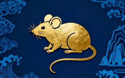 Tuổi Tý làm nghề gì nhanh giàu?