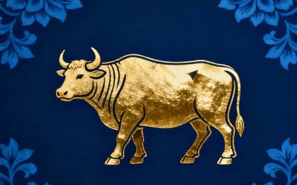 Tuổi Sửu làm nghề gì nhanh giàu?