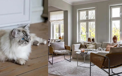 Căn hộ Bắc Âu kiểu này, chỉ cần thở thôi cũng thấy nhẹ lòng