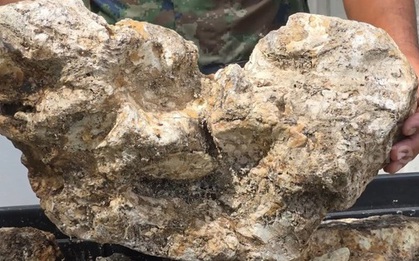 Đánh cá trên biển, người đàn ông vớt được thứ trị giá 98 tỷ đồng