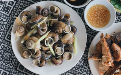 Loài vật tưởng chỉ có dưới nước, ai ngờ còn "bò" lên núi và trở thành đặc sản được săn lùng