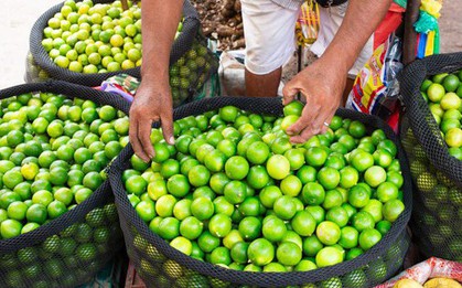 Loại quả bán đầy ở chợ Việt Nam giá cực rẻ - Sang trời Tây bỗng thành hàng hot, được các 'đại gia dầu mỏ' tranh mua như đặc sản