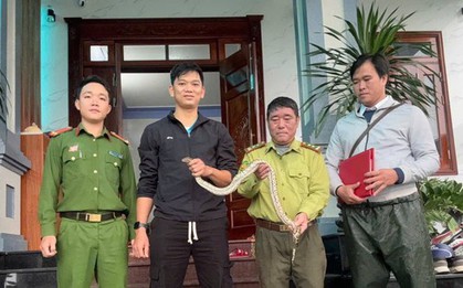 Nam thanh niên "đứng hình" khi bắt gặp con vật lạ bò qua đường