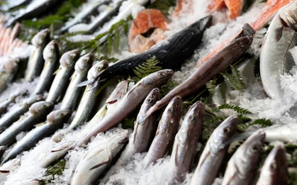 Mẹo chọn cá tươi và cách nhận biết cá nhiễm độc: Ai đi chợ cũng nên biết