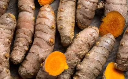 Cách đơn giản giúp tăng khả năng hấp thu Curcumin khi sử dụng nghệ