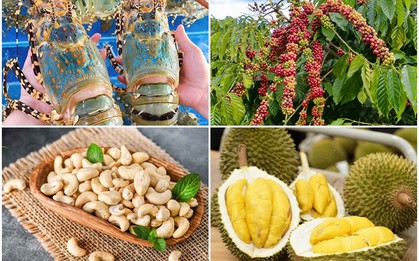 Điểm danh loạt hàng Việt Nam đạt kỷ lục xuất khẩu, nức tiếng thế giới