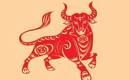 Tổng quan tử vi tuổi Sửu năm 2026