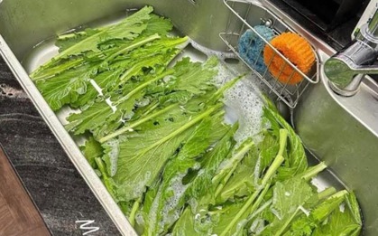 Bức ảnh khiến cả vạn người khẩu chiến