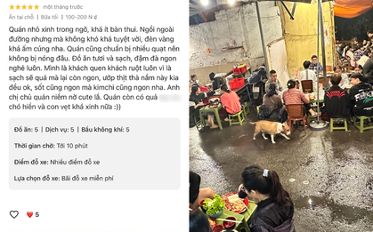 Thực hư quán nướng có Cậu Vàng trong game Phở Anh Hai được 5 sao tuyệt đối