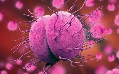 Hà Nội ghi nhận ca mắc não mô cầu là nam thanh niên 24 tuổi