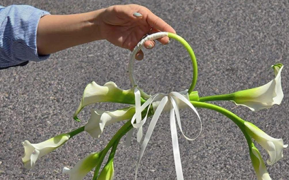 Bó hoa cưới 1,2 triệu “khổ nhất mạng xã hội”: 1 người chê, vạn người tranh cãi