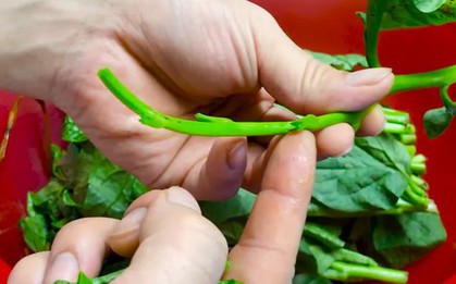 1 món rau “nhớt như dầu” nhưng người Nhật lại thích vì giúp trẻ lâu và ngừa ung thư, ở Việt Nam chợ nào cũng có