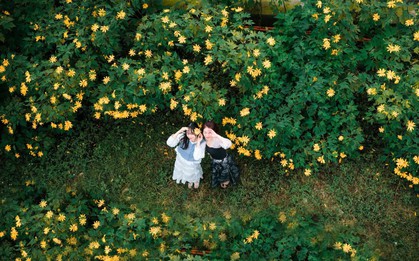 Mùa dã quỳ phủ vàng sườn núi Ba Vì, khách đổ về săn ảnh đầu đông