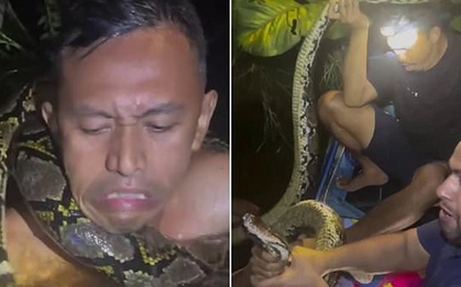 Người đàn ông bị trăn dài 6 mét siết cổ trên sông