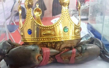 "Vua cua" Cà Mau năm 2022 giờ ra sao?