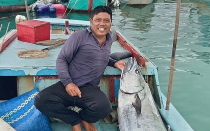 Một mình vật lộn giữa biển Phú Quý câu được "quái vật" cá thu gần 60 kg