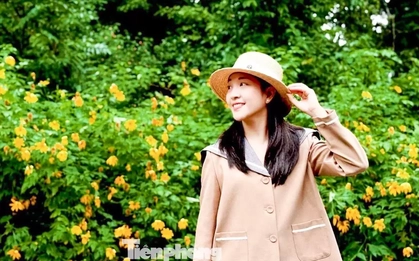 Bạn trẻ vượt 100 km lên Ba Vì chụp hoa dã quỳ trong mưa rét