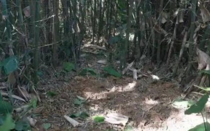 Đang đào giun thấy xẻng chạm phải vật cứng, lão nông dân run rẩy phát hiện kho báu nặng 30kg ngàn năm tuổi còn nguyên vẹn