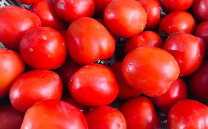 Cà chua tăng giá kỷ lục tại chợ Hà Nội: 85.000 đồng/kg vẫn bán sạch, bà nội trợ 'choáng váng'