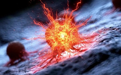 Các nhà nghiên cứu Mỹ tìm thấy “tử huyệt” của ung thư