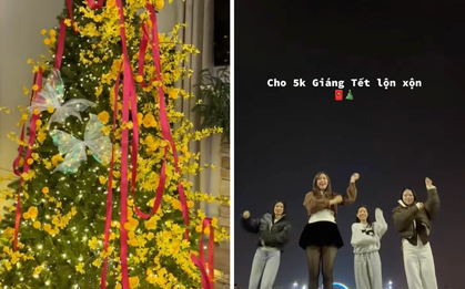 Hài hước trào lưu 'Giáng Xuân' trộn Noel với Tết, dân mạng xem là cười