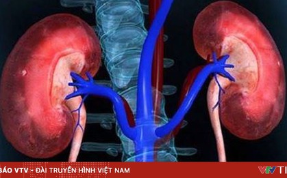 Điều trị thành công bệnh nhi mắc toan hóa ống thận type I hiếm gặp