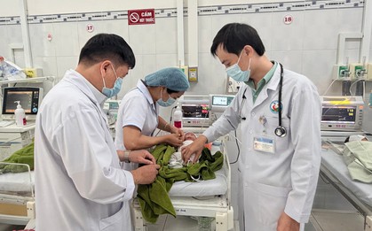 Bé sơ sinh bị vùi trong vườn cao su: Phát hiện kỳ diệu khi thấy chú chó dùng chân cào dưới đất