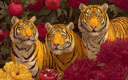 5 con giáp gặp khó khăn trong năm Ất Tỵ, năm Bính Ngọ 2026 lội ngược dòng viên mãn, tiền bạc rủng rỉnh