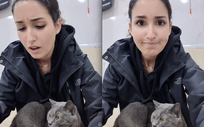 Ăn xôi xoài ở Hà Nội, khách Tây hoảng hốt khi thấy sự khác lạ trong màu sắc của gạo