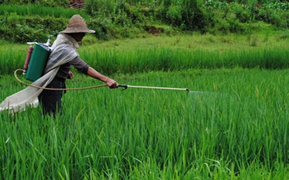 Anh công bố 12 loại rau quả "ngậm thuốc trừ sâu" nhiều nhất năm 2025: Loại quả đứng đầu danh sách với 99% thuốc trừ sâu vượt quá tiêu chuẩn