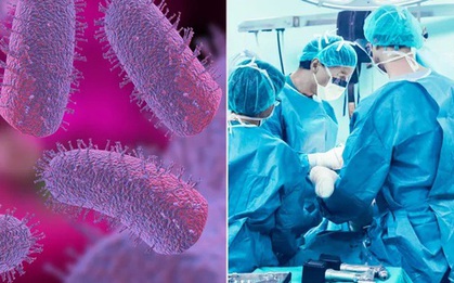 Người đàn ông tử vong sau khi được ghép thận từ người nhiễm bệnh dại