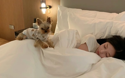 Điều bạn làm trên giường mỗi đêm hé lộ nhiều sự thật về chính con người bạn