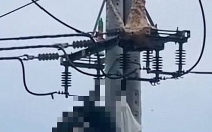 Trèo lên trụ điện bắt ong vò vẽ, nam thanh niên tử vong