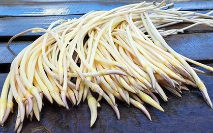 2 loại rau dễ là nơi “ổ ký sinh trùng” ẩn náu, nhất loại đầu bảng ngoài chợ có đầy