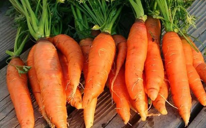 4 loại thực phẩm tích tụ cả kho vi nhựa, loại cuối cùng người Việt vẫn ăn hàng ngày