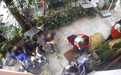 Bị nhắc vì cho chó uống cốc của quán, khách tức giận xưng "mày - tao", mắng chủ quán "thái độ cành cao"