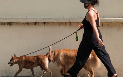 Đừng để sự thờ ơ gây họa cộng đồng