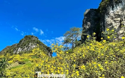 Tới Cao Bằng mùa này, du khách thốt lên: 'Đứng góc nào cũng có ảnh đẹp'