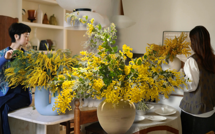 Vì sao giới nhà giàu lại chi hàng triệu mua "nàng thơ nước Úc" về chưng Tết? Câu trả lời nằm ở 4 chữ "phú quý trường cửu"