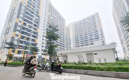 Bắc Ninh, Hải Phòng phát hiện hàng loạt sai phạm mua bán nhà ở xã hội