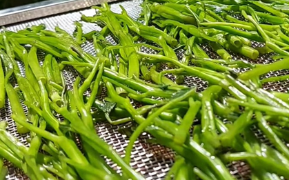 2 loại rau “khoái khẩu” mùa lạnh dễ thành ổ sán, đứng đầu bảng mâm cơm nhà nào cũng có