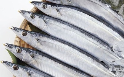 Loại cá giá rẻ, giàu omega-3 hơn cá hồi, ít kim loại nặng, tốt cho phụ nữ, trẻ em, người già