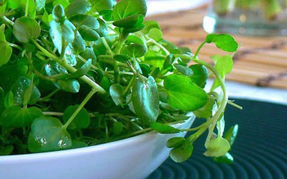 Chợ Việt có loại rau 10.000/bó, là "trùm cuối" chống ung thư được cả thế giới công nhận